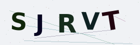 Verification code image
